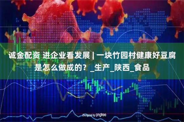 诚金配资 进企业看发展 | 一块竹园村健康好豆腐是怎么做成的？_生产_陕西_食品