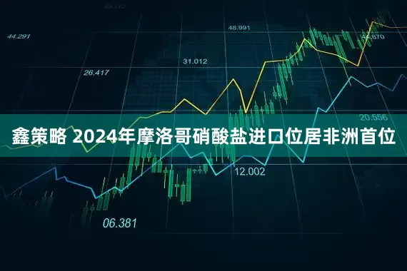 鑫策略 2024年摩洛哥硝酸盐进口位居非洲首位