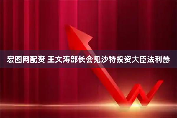 宏图网配资 王文涛部长会见沙特投资大臣法利赫