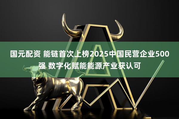 国元配资 能链首次上榜2025中国民营企业500强 数字化赋能能源产业获认可